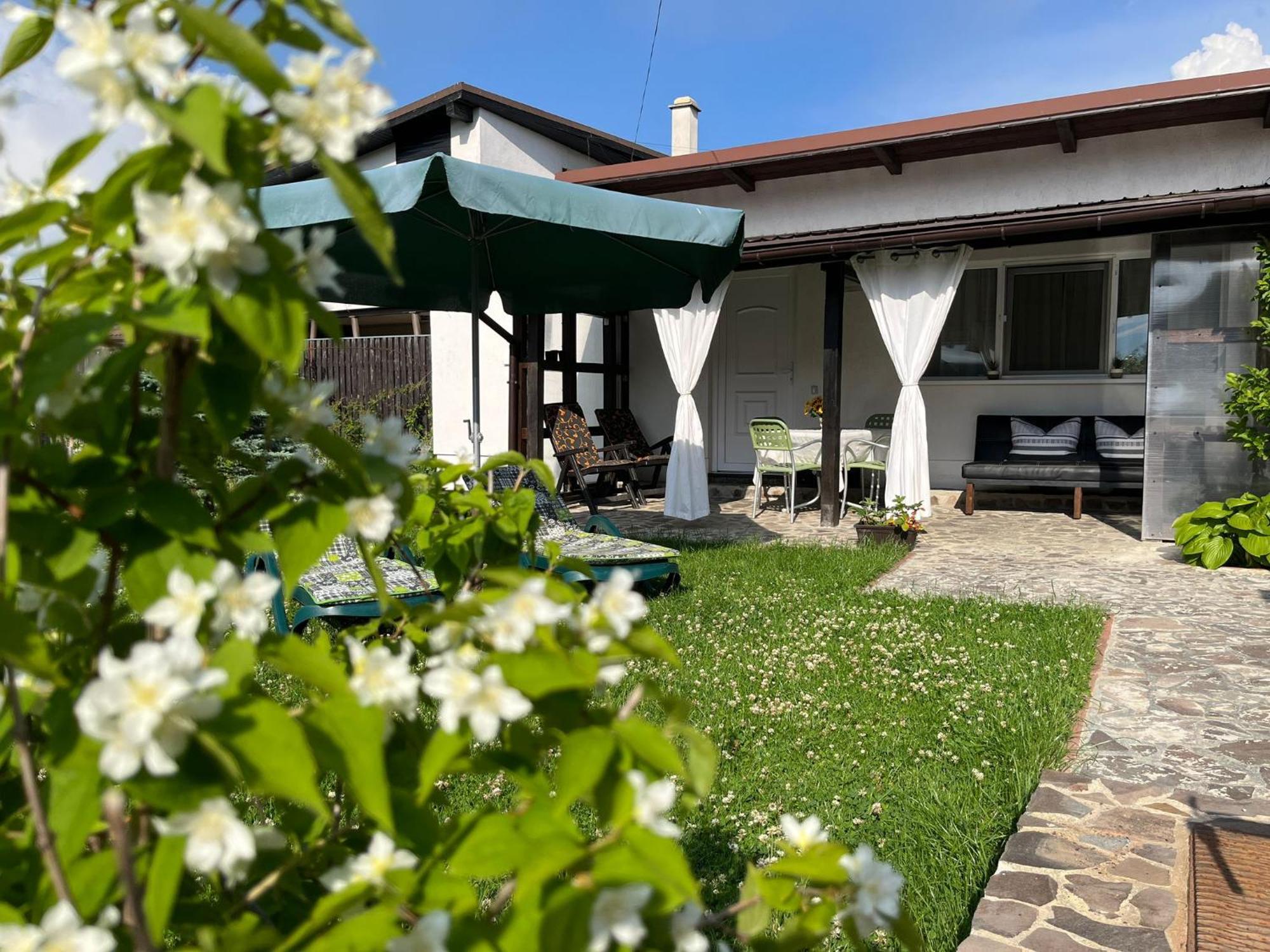 הוילה סקלה Charmante Petite Maison Transylvanie מראה חיצוני תמונה