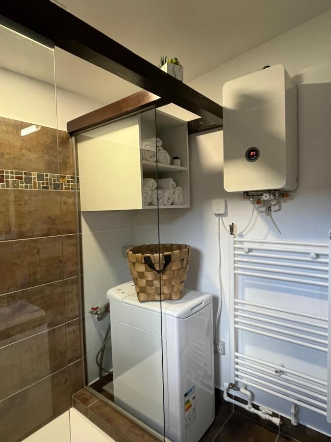 הוילה סקלה Charmante Petite Maison Transylvanie מראה חיצוני תמונה